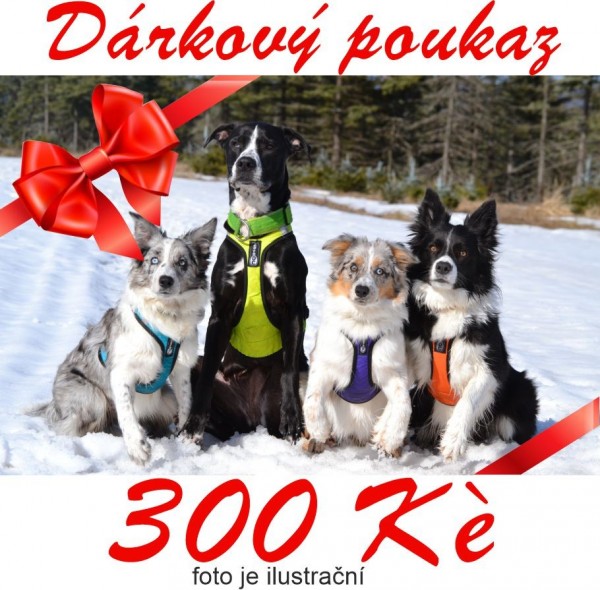 Dárkový poukaz v hodnotě 300,-Kč - Dárkové poukázky