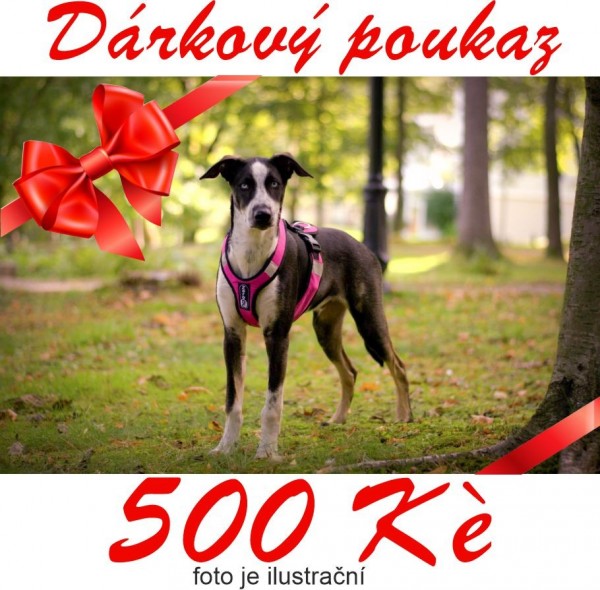 Dárkový poukaz v hodnotě 500,-Kč - Dárkové poukázky