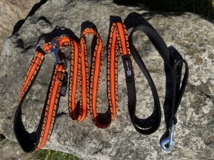 Vodítko ANAPURNA jednobarevné ROYAL DO 10 kg - Vodítka - Vodítka 2 m