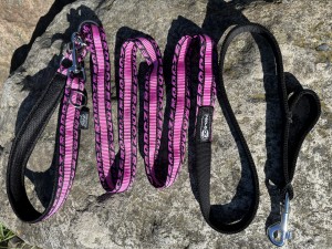 Vodítko ANAPURNA jednobarevné ROYAL DO 10 kg - Vodítka - Vodítka 2 m