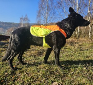 Označovací vesta - Bezpečnostní reflexní vesta pro psy