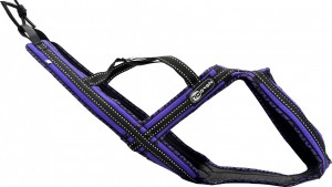 Tažný postroj CROSS DC ROYAL - Postroje - Tažné postroje