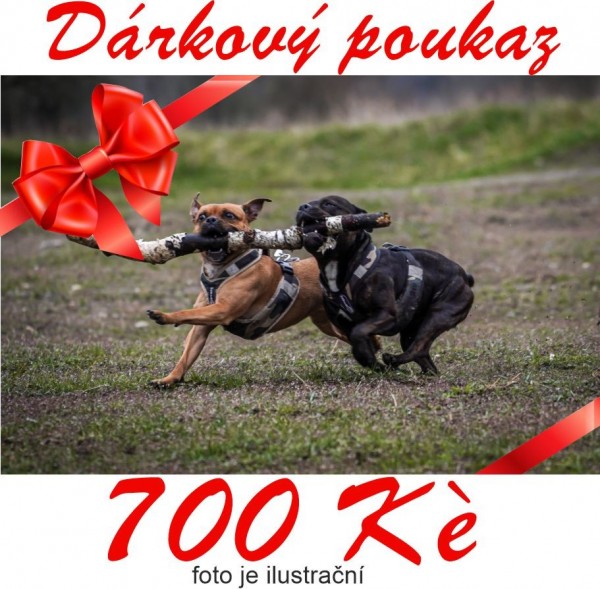 Dárkový poukaz v hodnotě 700,-Kč - Dárkové poukázky