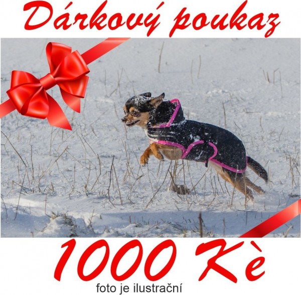 Dárkový poukaz v hodnotě 1000,-Kč - Dárkové poukázky