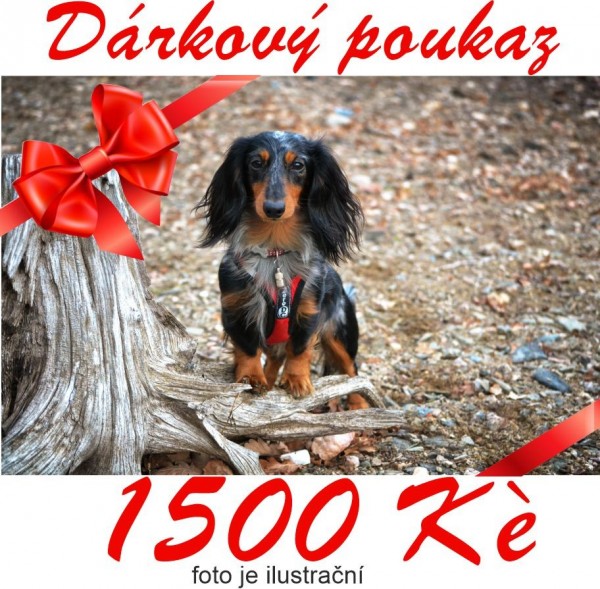 Dárkový poukaz v hodnotě 1500,-Kč - Dárkové poukázky
