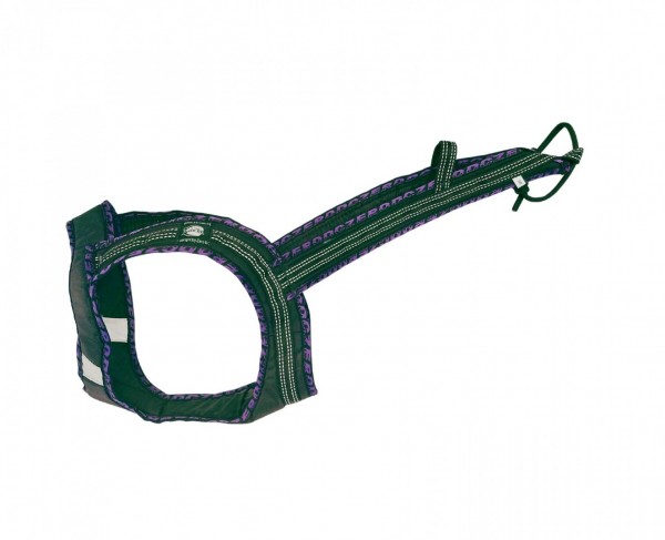 Harness FASTER ROYAL - Harnesses - Pulling Harnesses