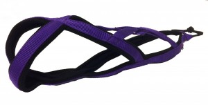 Tažný postroj podšitý jednobarevný - Postroje - Tažné postroje