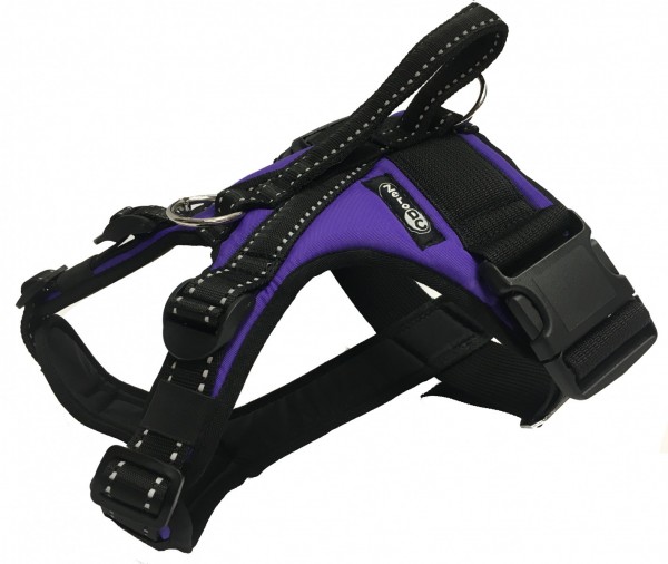 Postroj KODIAK - Postroje - Postroje pro sportovní kynologii