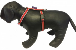 Postroj SPORT - Postroje - Hobby postroje