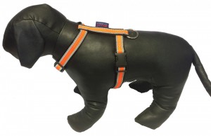 Postroj SPORT - Postroje - Hobby postroje