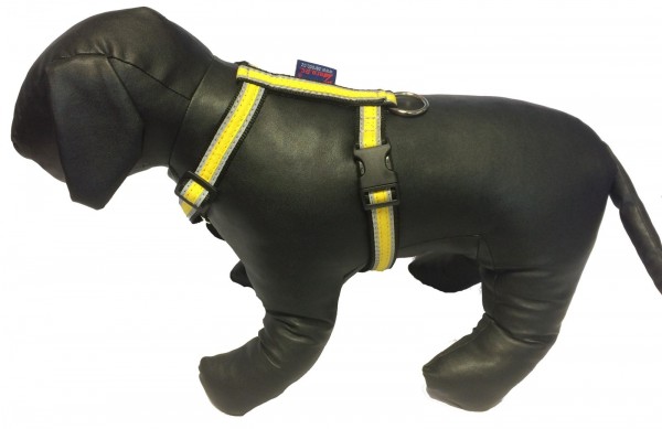 Postroj SPORT - Postroje - Hobby postroje