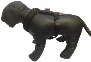 Postroj podšitý jednobarevný - Postroje - Hobby postroje