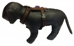 Postroj podšitý jednobarevný - Postroje - Hobby postroje