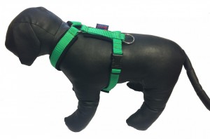 Postroj podšitý jednobarevný - Postroje - Hobby postroje