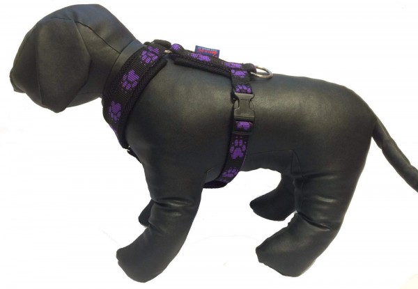 Postroj podšitý TLAPKY - Postroje - Hobby postroje