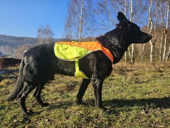 Safety reflective vest for dogs