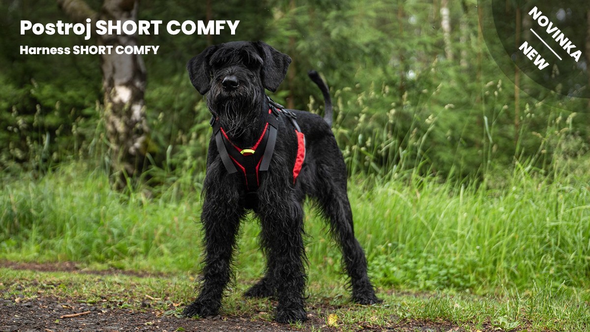 New - SHORT COMFY harness